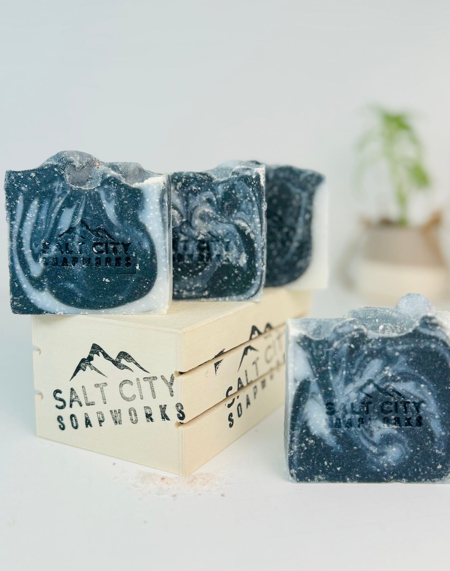 Salt Soap Bar Sets