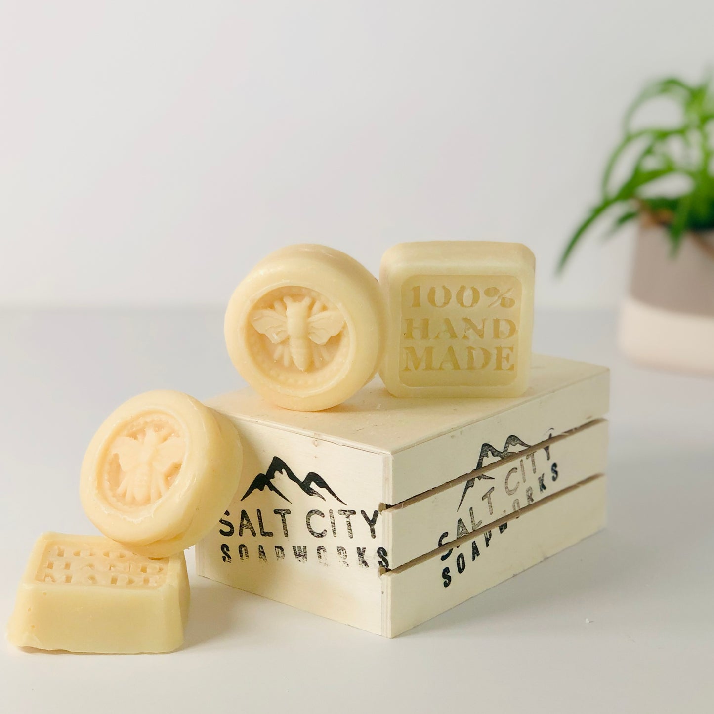 Citrus Shampoo Bar Set