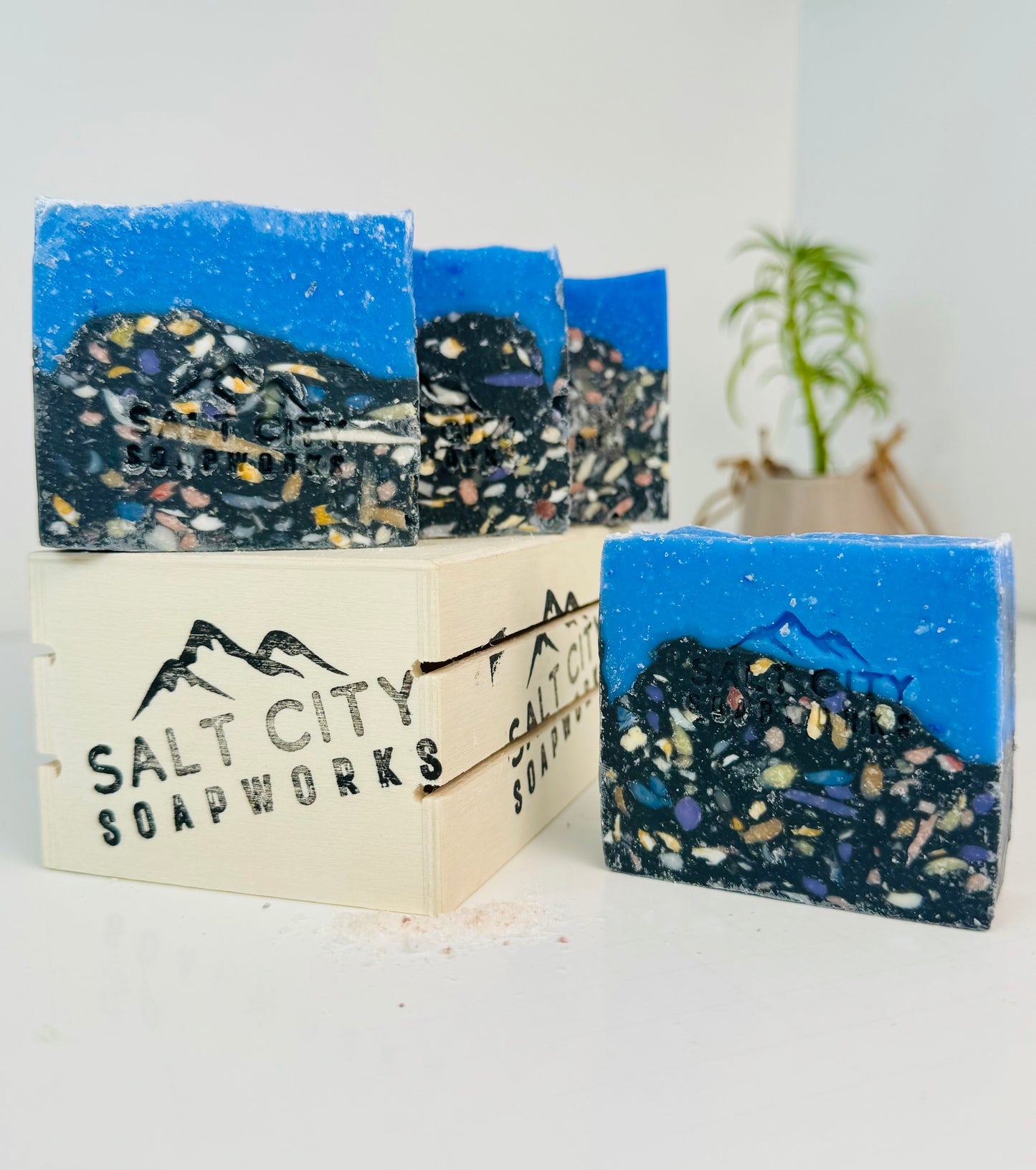 Salt Soap Bar Sets