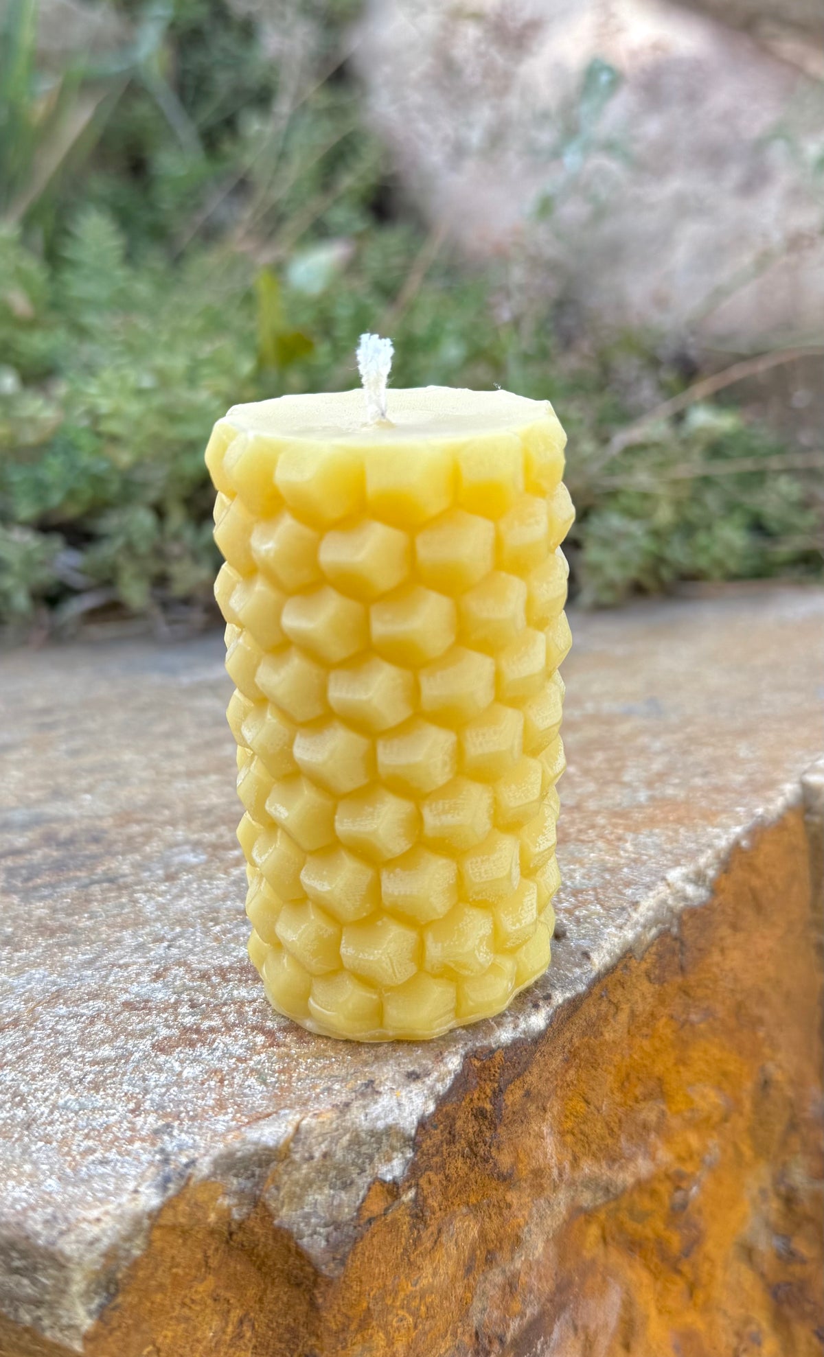 Hand-Poured Idaho Beeswax Candles