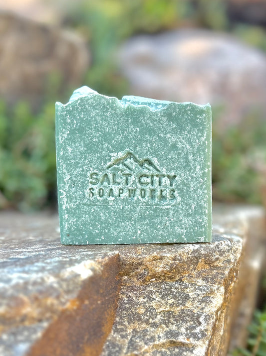 Menthol Eucalyptus Salt Soap — Essential Oils Only