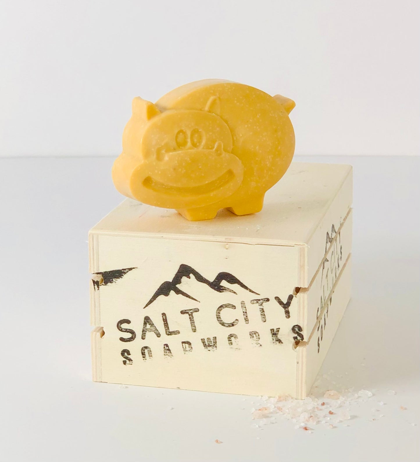 Animal Salt Soap