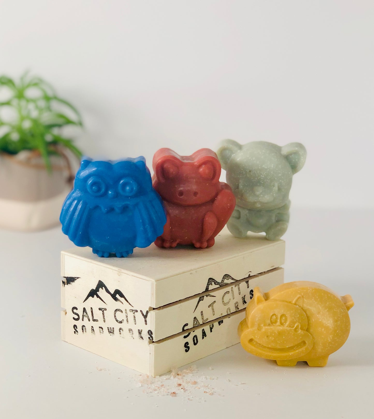 Animal Salt Soap Set