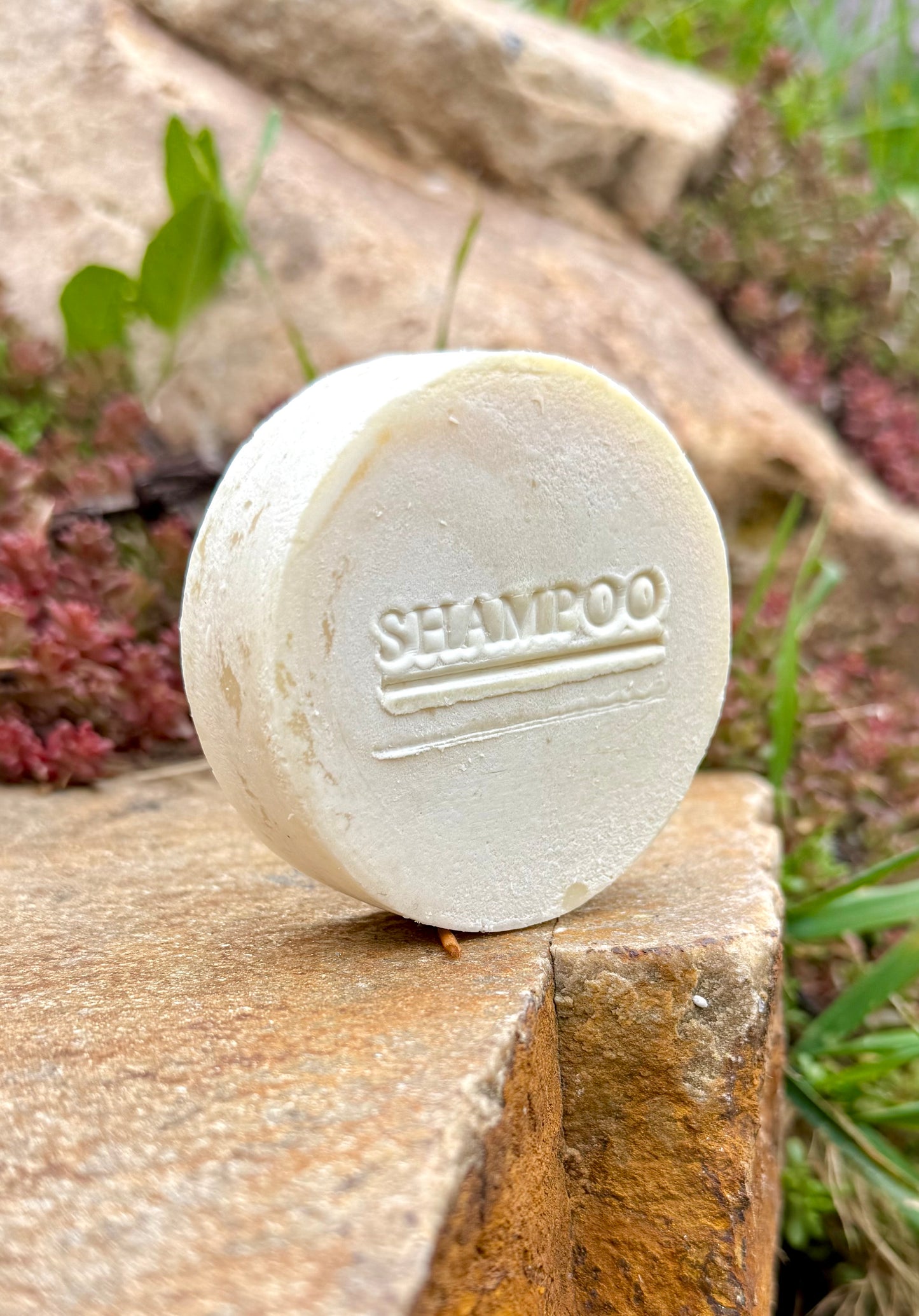 Shampoo Puck