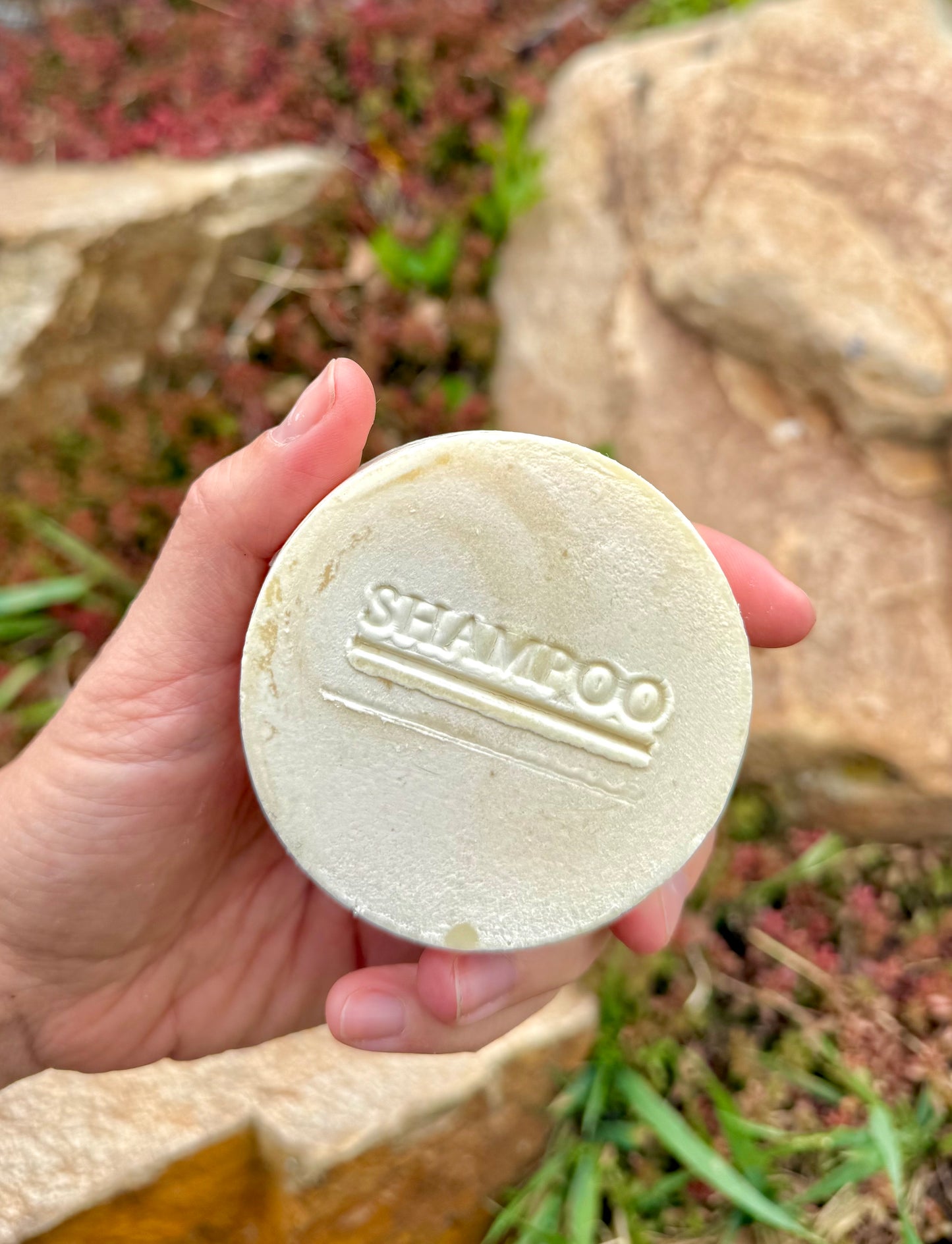 Shampoo Puck