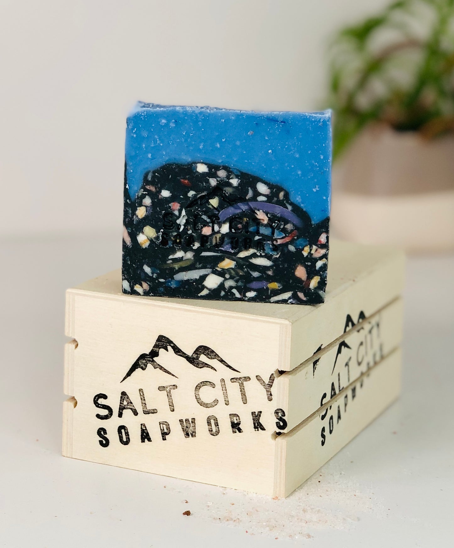Salt Soap Bars